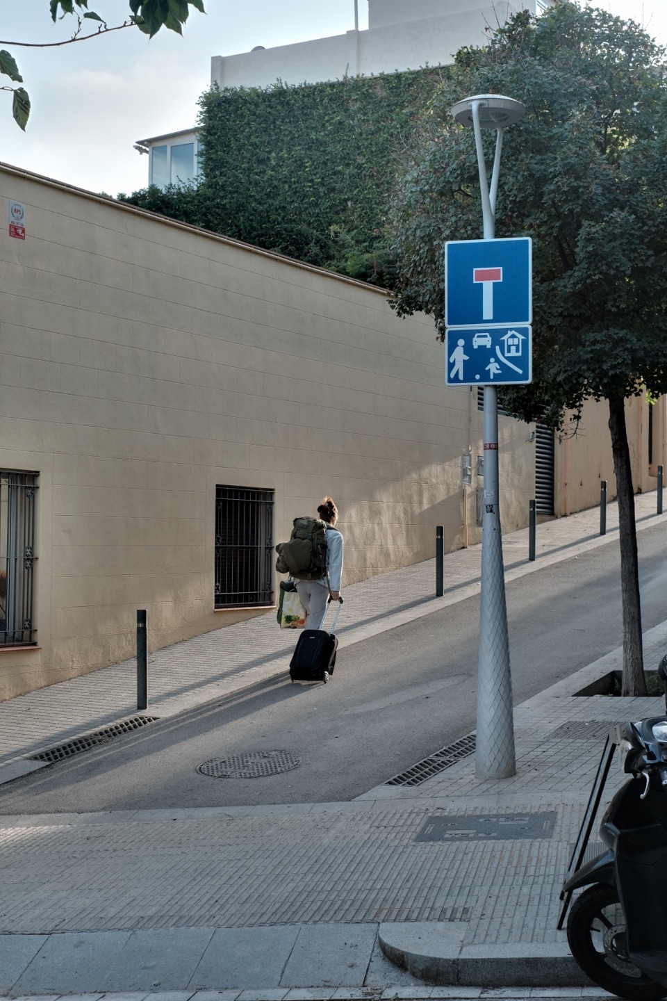 The same RAF with Light & Shadow set to balance: the wall and the tree in the shadows show more detail